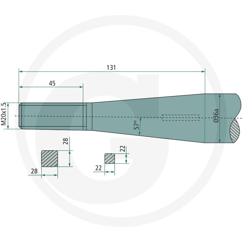 SHW Ząb 43006802002 - Sklep PoltechParts