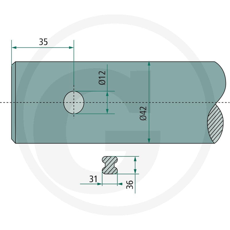 SHW Ząb 43010000001 - Sklep PoltechParts