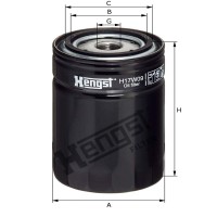 Hengst Filtr oleju 866H17W09 - Sklep PoltechParts