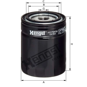 Hengst Filtr oleju 866H17W09