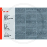 GRANIT Środek do czyszczenia hamulców 320320038 - Sklep PoltechParts