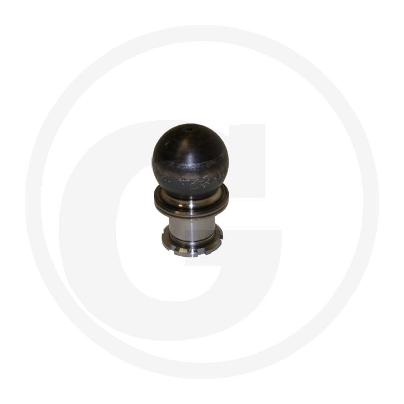 Rockinger Kula 78771177