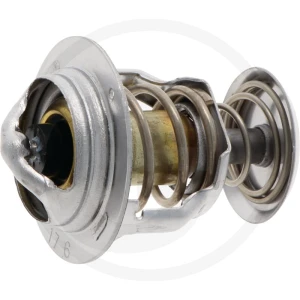 Termostat 23815K21016