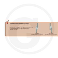 GRANIT Ząb sprężynowy 180101.304671 - Sklep PoltechParts