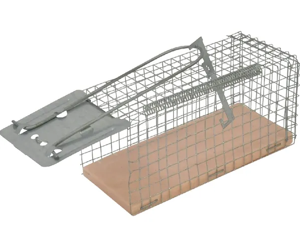 Żywołapka na myszy i szczury | poltechparts.pl