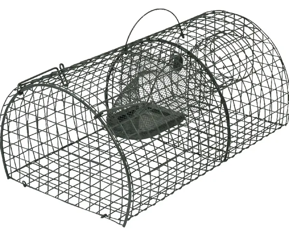 Żywołap. na szczury 40x24x18cm