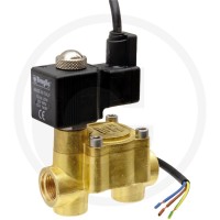 Braglia Zawór sekcji roboczych 67020119154 - Sklep PoltechParts