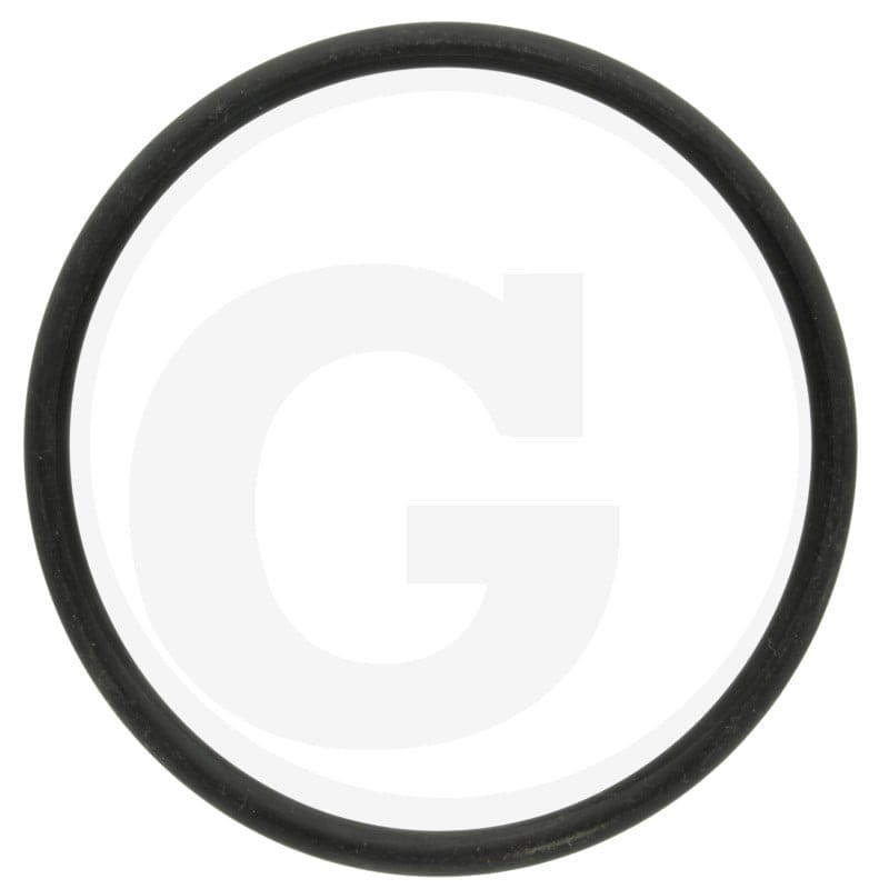 ARAG Oring 670G11026NB