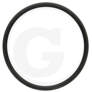 ARAG Oring 670G11026NB