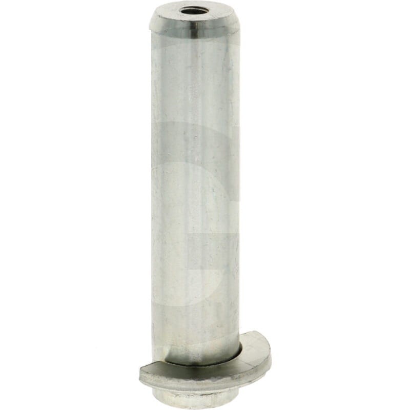 Sworzeń 30x119mm