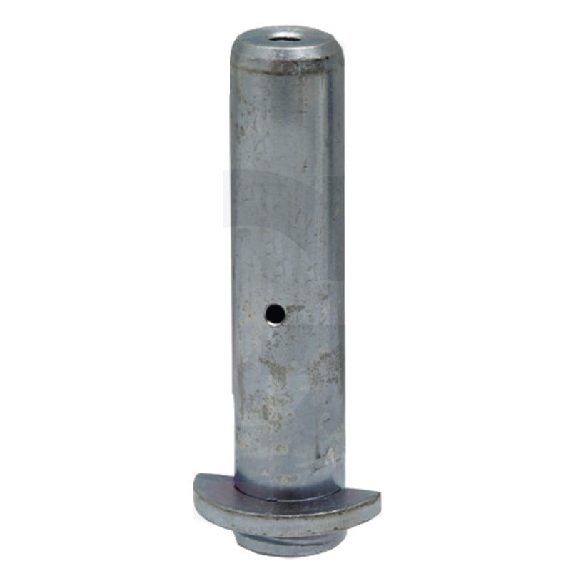 Sworzeń 30x131mm