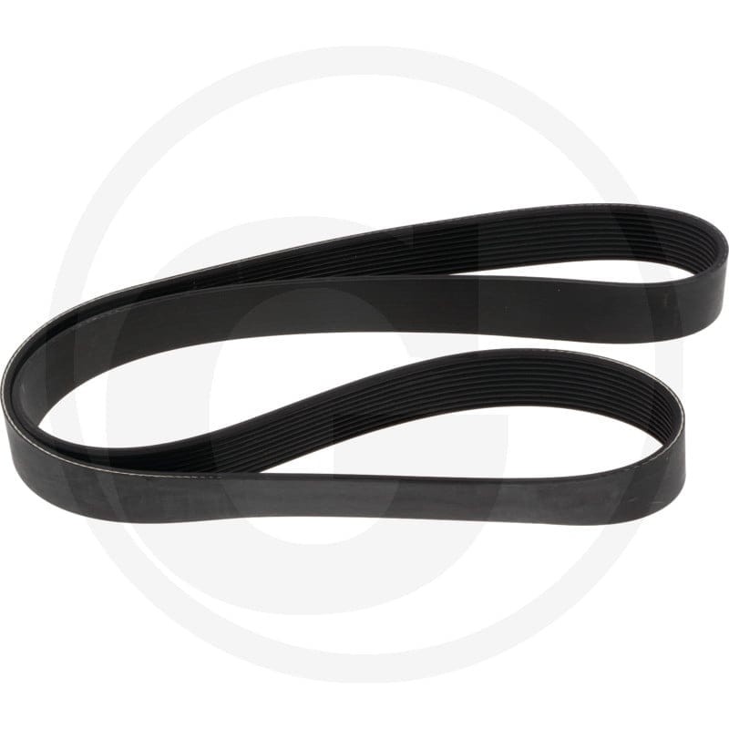 Dayco Pasek klinowy wielorowkowy 8620002019 - Sklep PoltechParts