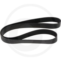 Dayco Pasek klinowy wielorowkowy 8620002019 - Sklep PoltechParts
