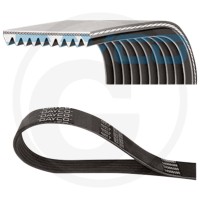 Dayco Pasek klinowy wielorowkowy 8620002019 - Sklep PoltechParts