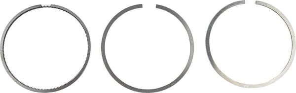 Segment set 00810090610