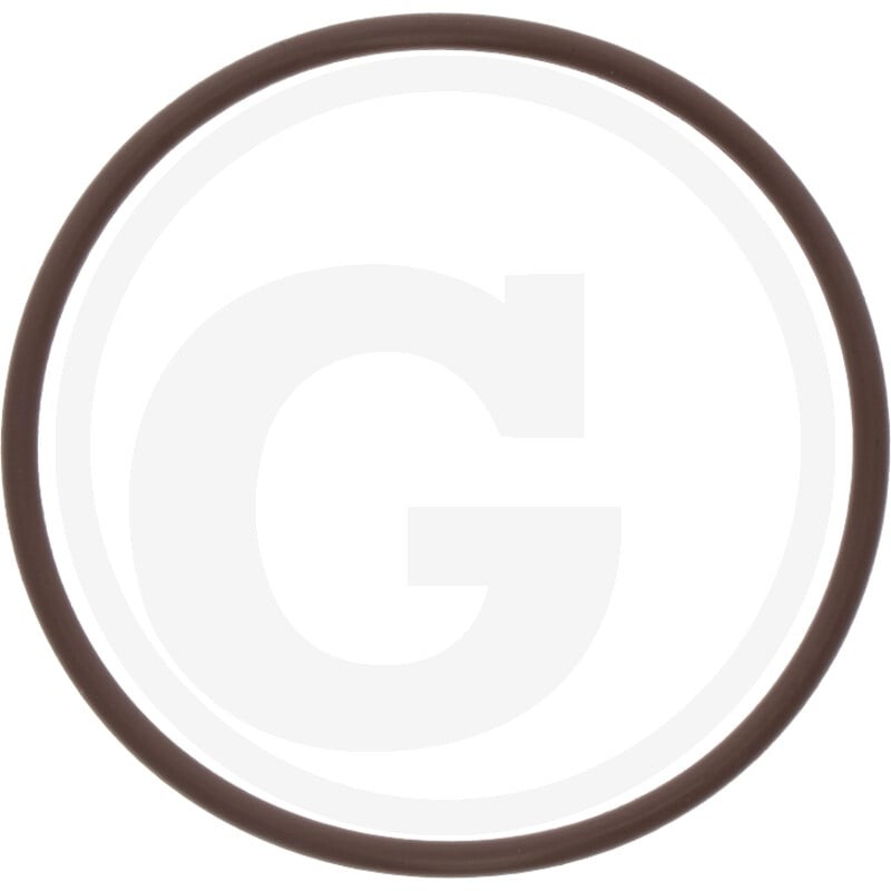 GRANIT O-RING 71806307