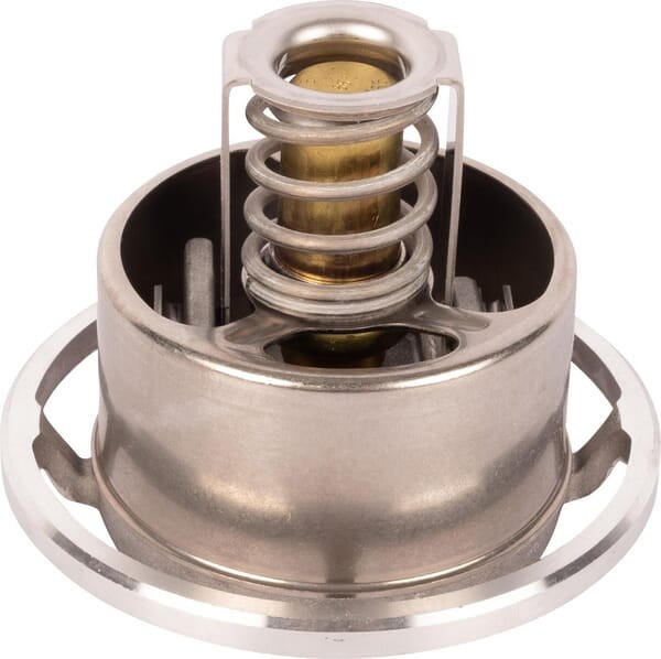 Termostat 04911831