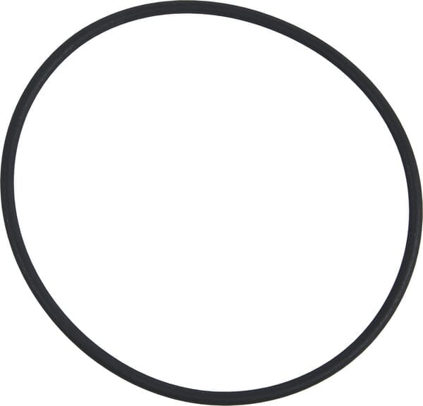 O-ring 0634313188
