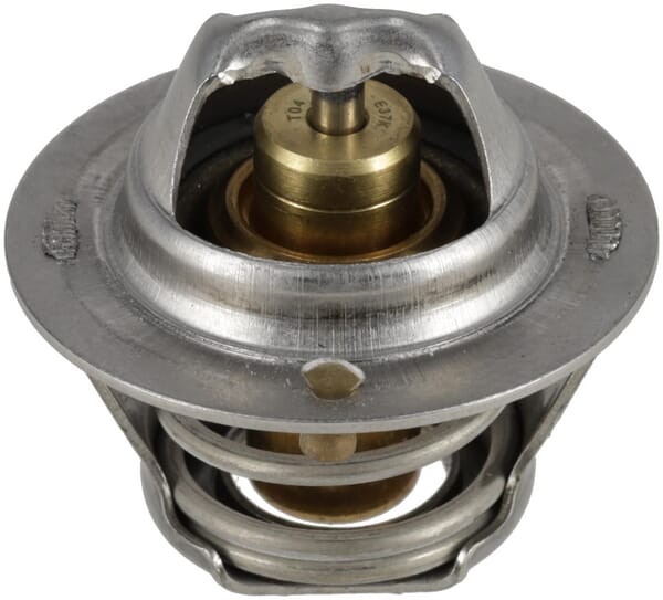 Termostat 1000199605