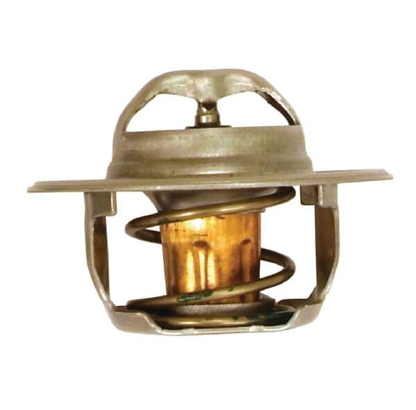 Termostat 1000341587