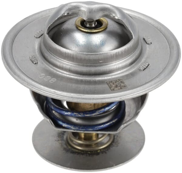 Termostat 1000364234