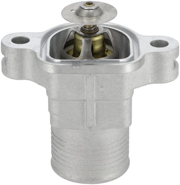 Termostat 1000256908