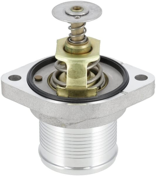 Termostat 1000448292