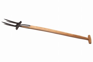 Widełki Do Róż Z Jesionowym Stylemt (90 cm)