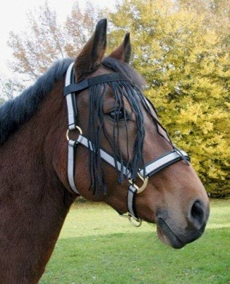 Naczółek z frędzelkami dla konia, czarny, roz. Pony, Covalliero