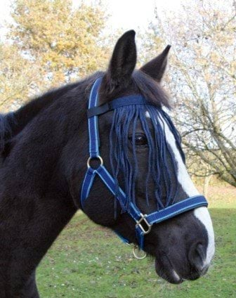 Naczółek z frędzelkami dla konia, granatowy, roz. Pony, Covalliero