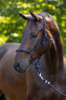 Kantar sznurkowy, granatowy, Pony, Covalliero