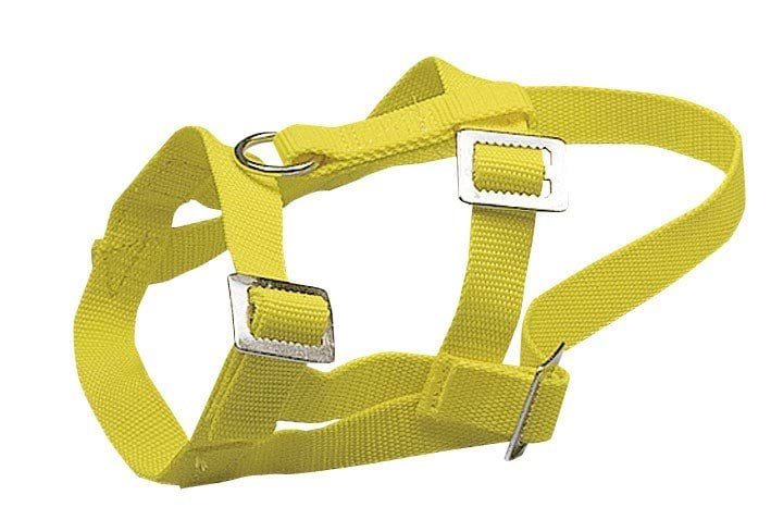 Kantar dla owiec i baranów z nylonu, żółty, Kerbl