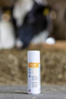 Powder Spray, 200 ml, Agrochemica | poltechparts.pl