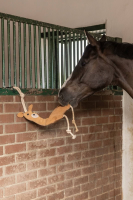 Zabawka dla konia, lama, 40 cm, Kerbl | poltechparts.pl