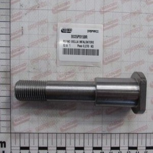 Sworzeń GASPARDO B035P0159R