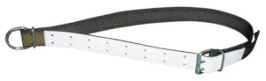 Obroża dla młodych byków Profi, 150 x 5,5 cm, Kerbl