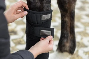 Owijki polarowe dla konia Covalliero Therm, czarny, 4 szt, Covalliero