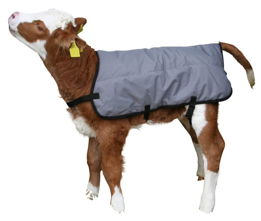 Derka dla cielaka Ripstopp, 70cm, szara,… | poltechparts.pl