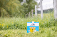 Pułapka na muchy FlyCage6, z atraktantem… | poltechparts.pl