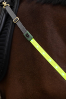 Napierśnik LED dla konia, Covalliero | poltechparts.pl