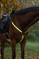 Napierśnik LED dla konia, Covalliero | poltechparts.pl