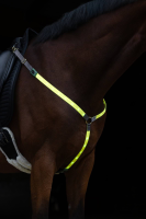 Napierśnik LED dla konia, Covalliero | poltechparts.pl
