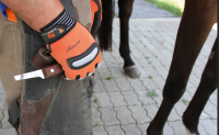 Nóż do korekcji racic SuperProfi, lewy, w… | poltechparts.pl