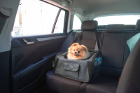 Torba podróżna dla psa Vacation, 44 x 35… | poltechparts.pl