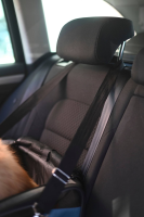 Torba podróżna dla psa Vacation, 44 x 35… | poltechparts.pl