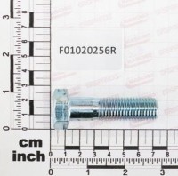 Śruba M16x2x60 GASPARDO F01020256R | poltechparts.pl