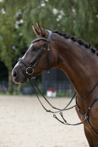 Ogłowie dla konia Clincher, czarny, roz. Pony, Covalliero