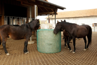 Siatka na siano do bel, zielony, 150 x 15… | poltechparts.pl