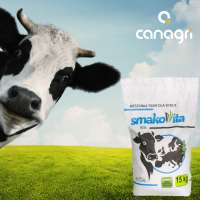 Mieszanka traw Protein Smakovita, z lucer… | poltechparts.pl