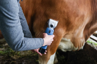 Maszynka do strzyżenia bydła FarmClipper… | poltechparts.pl